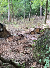 安曇野市穂高、土地の画像です