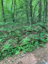 安曇野市穂高、土地の画像です