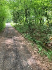 安曇野市穂高、土地の画像です