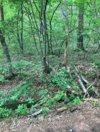 安曇野市穂高、土地の画像です