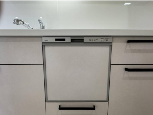 松本市野溝木工、中古マンションの画像です