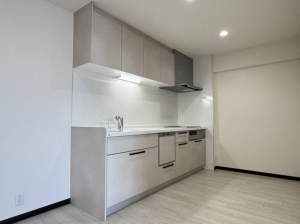 松本市野溝木工、中古マンションの画像です