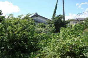 塩尻市大字片丘、土地の画像です