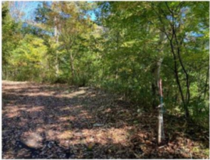 塩尻市大字北小野、土地の前面道路を含む現地写真画像です