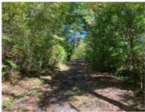 塩尻市大字北小野、土地の前面道路を含む現地写真画像です