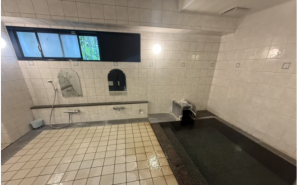 松本市浅間温泉、収益物件/マンションの風呂画像です