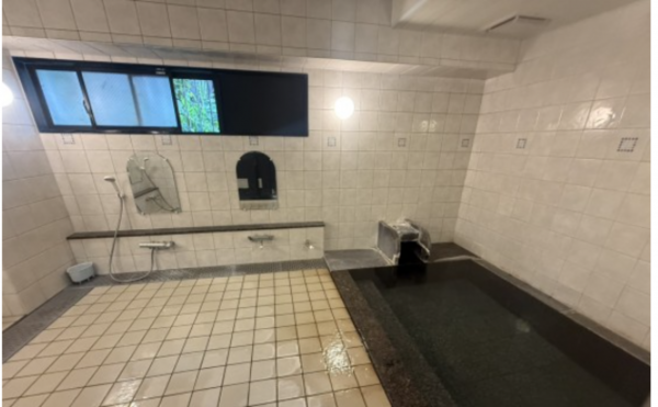 松本市浅間温泉、収益物件/マンションの風呂画像です