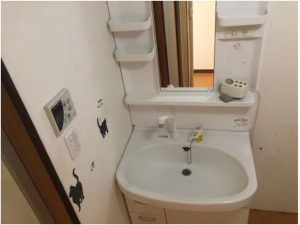 塩尻市大字堀ノ内、中古一戸建ての洗面画像です