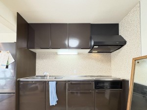 松本市野溝木工、中古マンションの画像です