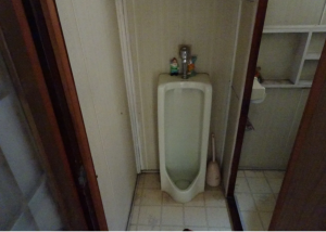 塩尻市大字木曽平沢、中古一戸建てのトイレ画像です