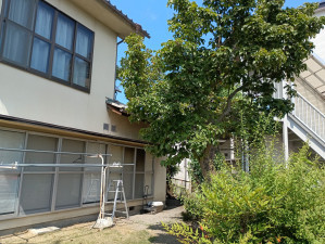 安曇野市豊科、中古一戸建ての画像です