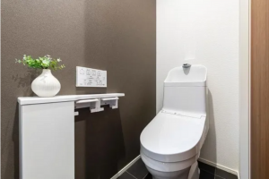 松本市大字神林、新築一戸建てのトイレ画像です