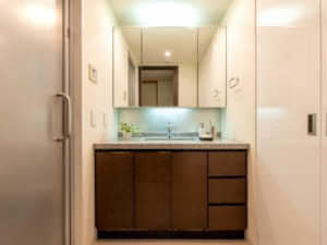 名古屋市昭和区川名山町、中古マンションの洗面画像です