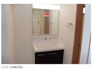名古屋市昭和区御器所、新築一戸建ての洗面画像です