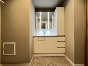 名古屋市瑞穂区彌富町紅葉園、中古マンションの洗面画像です