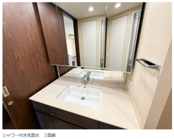 名古屋市昭和区高峯町、中古マンションの洗面画像です