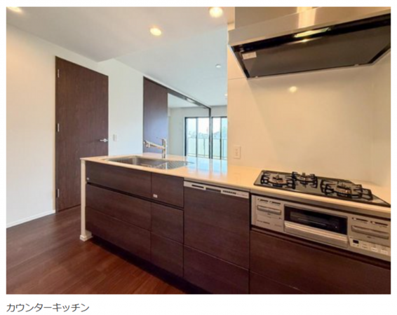 名古屋市昭和区高峯町、中古マンションのキッチン画像です