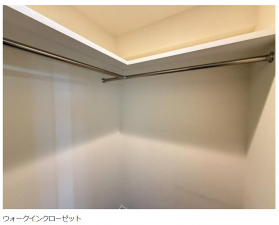 名古屋市昭和区高峯町、中古マンションの収納画像です