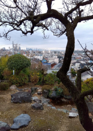 名古屋市千種区、土地の画像です