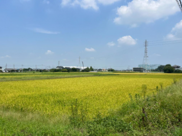 春日部市永沼、土地の画像です