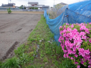 春日部市赤沼、土地の画像です
