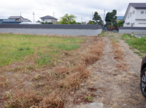 春日部市赤沼、土地の画像です