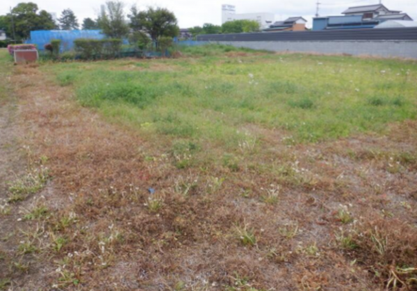 春日部市赤沼、土地の画像です