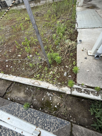 春日部市豊町、土地の画像です