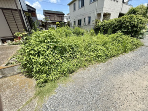 春日部市小渕、土地の画像です