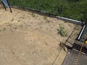 春日部市小渕、土地の画像です