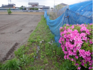 春日部市赤沼、土地の画像です
