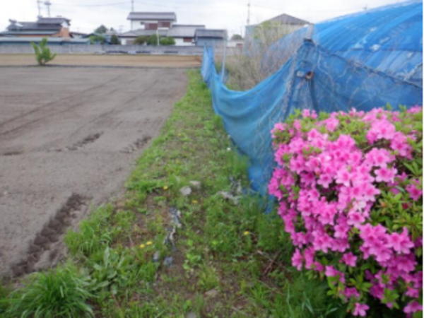 春日部市赤沼、土地の画像です