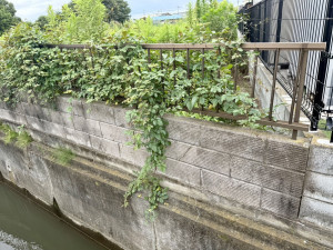 春日部市武里中野、土地の画像です