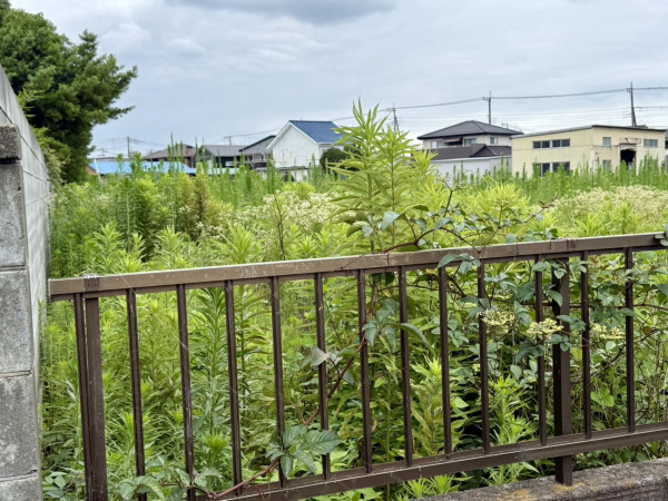 春日部市武里中野、土地の画像です
