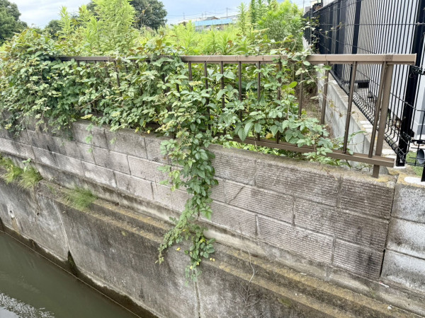 春日部市武里中野、土地の画像です