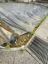 春日部市藤塚、土地の画像です