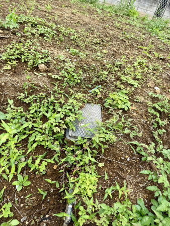 春日部市大枝、土地の画像です