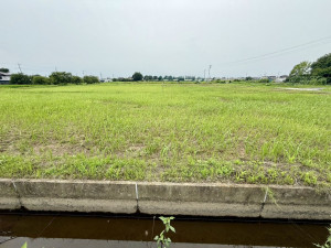 春日部市永沼、土地の画像です