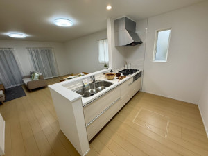 春日部市一ノ割、新築一戸建ての画像です