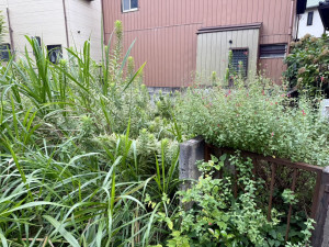 春日部市南、土地の画像です