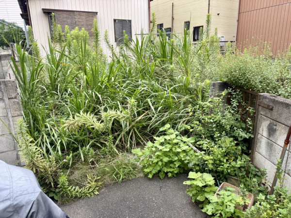 春日部市南、土地の画像です