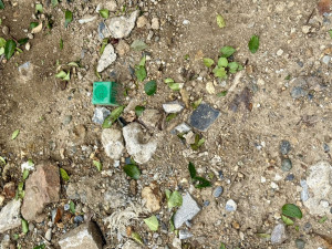春日部市大沼、土地の画像です