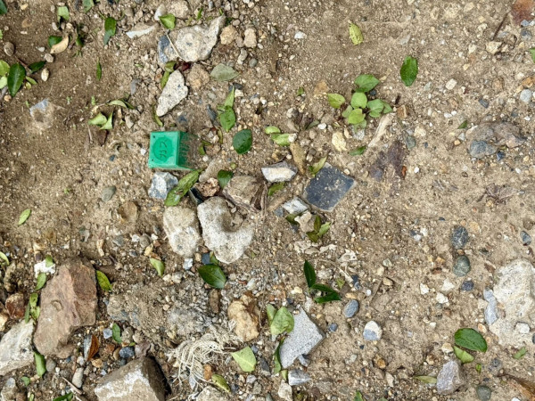 春日部市大沼、土地の画像です