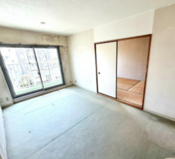 春日部市道口蛭田、中古マンションの画像です