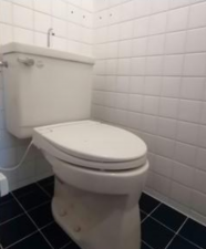 神戸市須磨区禅昌寺町、中古一戸建てのトイレ画像です