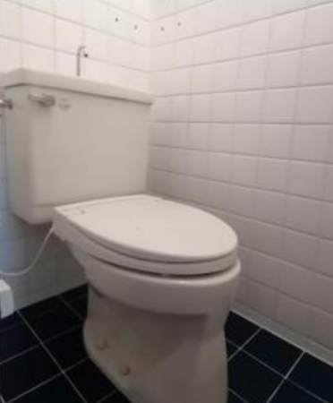 神戸市須磨区禅昌寺町、中古一戸建てのトイレ画像です