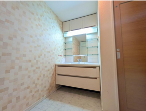 神戸市須磨区須磨浦通、中古一戸建ての洗面画像です