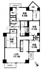 神戸市須磨区北落合、中古マンションの間取り画像です