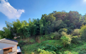 神戸市須磨区妙法寺、土地の外観画像です