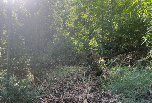 神戸市須磨区上細沢町、中古一戸建ての外観画像です